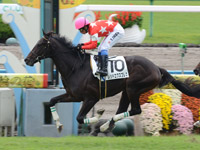 京都5R　新馬戦　レッドエクスプレス