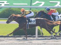 京都２Ｒ　未勝利戦　ダイヴァーダウン