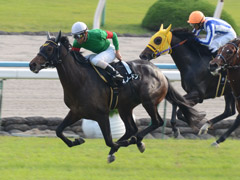 京都９Ｒ　萩ステークス（ＯＰ）　スノードン