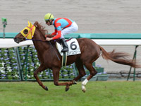 阪神３Ｒ　未勝利戦　エリアコンプリート