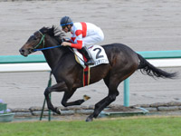 阪神４Ｒ　未勝利戦　ダノンオリエント