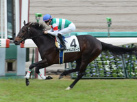 阪神５Ｒ　新馬戦　アダムスピーク