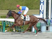 阪神６Ｒ　新馬戦　サウンドビガレス