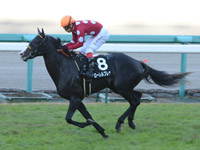 阪神９Ｒ 千両賞（500万）