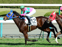 阪神5R　未勝利戦（ウイングザムーン）