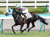 阪神6R　新馬戦（ダンツミュータント）