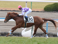 京都6R　新馬戦　マジカルツアー