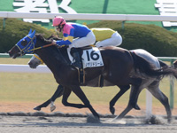 京都3R　未勝利戦　ノボリドリーム