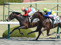 阪神3R　未勝利戦　タマモデザイア