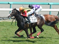 阪神4R　未勝利戦　ドラゴネッティ