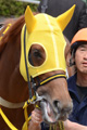ライドンシャフト写真