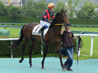 未勝利戦　本馬場入場