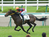 未勝利戦　ゴール前