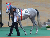 新馬戦　パドック