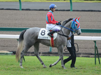 新馬戦　本馬場入場