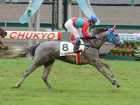 新馬戦　ゴール前