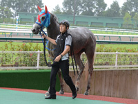 新馬戦　口取り
