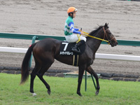 中京2歳ステークス（ＯＰ）　本馬場入場