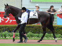 新馬戦　パドック