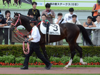 新馬戦　パドック