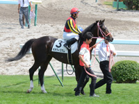 新馬戦　本馬場入場