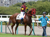 新馬戦　本馬場入場