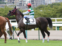 新馬戦（牝）　本馬場入場