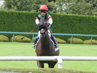 新馬戦（牝）　レース後
