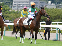 新馬戦（牝）　本馬場入場
