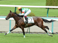 新馬戦（牝）　ゴール前