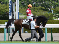 未勝利戦　本馬場入場