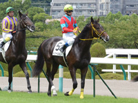 新馬戦　本馬場入場