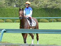 新馬戦　レース後