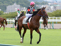 新馬戦　本馬場入場