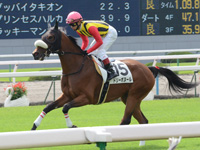 新馬戦（牝）　キャンター