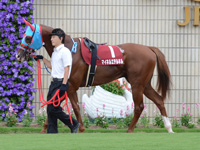 デイリー杯2歳ステークス（ＧII）　パドック