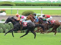 デイリー杯2歳ステークス（ＧII）　ゴール前（中3着）