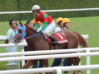 デイリー杯2歳ステークス（ＧII）　レース後