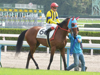 新馬戦（牝）　本馬場入場