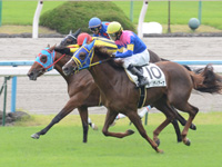 新馬戦（牝）　ゴール前（内2着）