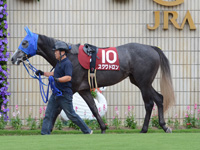 デイリー杯2歳ステークス（ＧII）　パドック