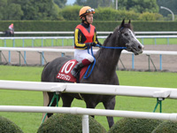 デイリー杯2歳ステークス（ＧII）　本馬場入場