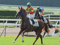 未勝利戦　キャンター