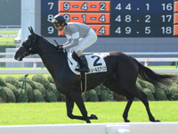 未勝利戦（牝）　キャンター