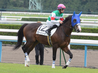 新馬戦　本馬場入場
