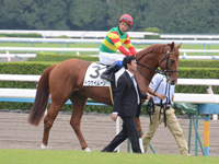 新馬戦　本馬場入場