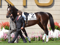 新馬戦　パドック