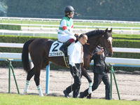 新馬戦　本馬場入場