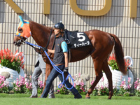 かえで賞（500万）　パドック