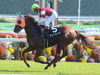 かえで賞（500万）　キャンター